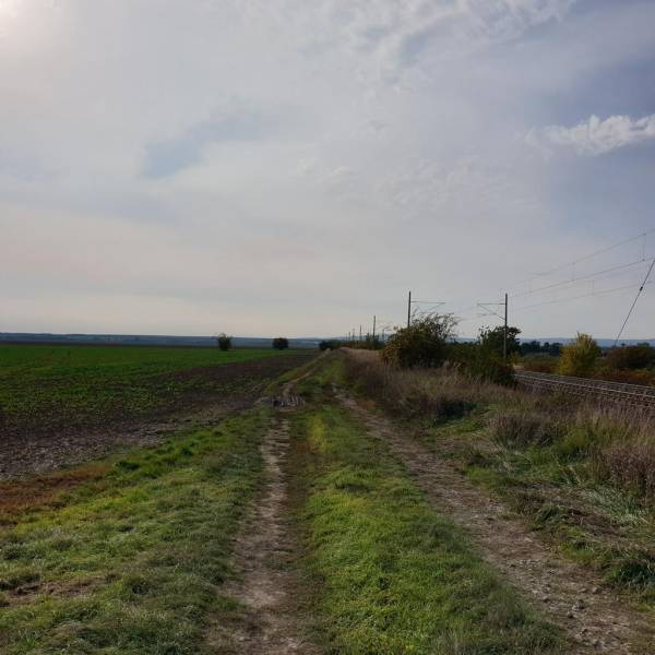 Sale Agrarian and forest land, Agrarian and forest land, Pezinok, Slov