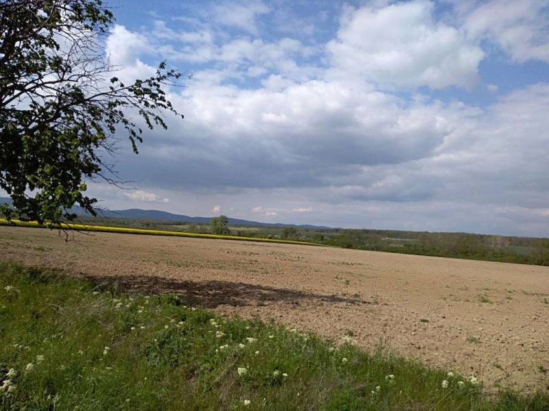 Searching for Land – for living, Land – for living, Pezinok, Slovakia