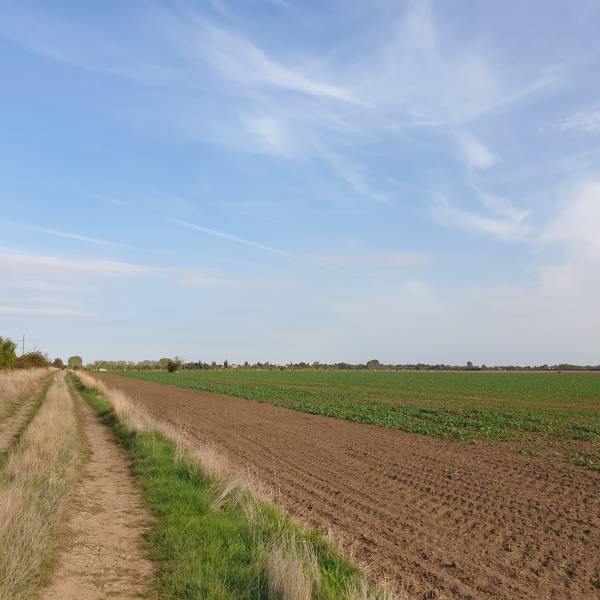 Sale Agrarian and forest land, Agrarian and forest land, Pezinok, Slov