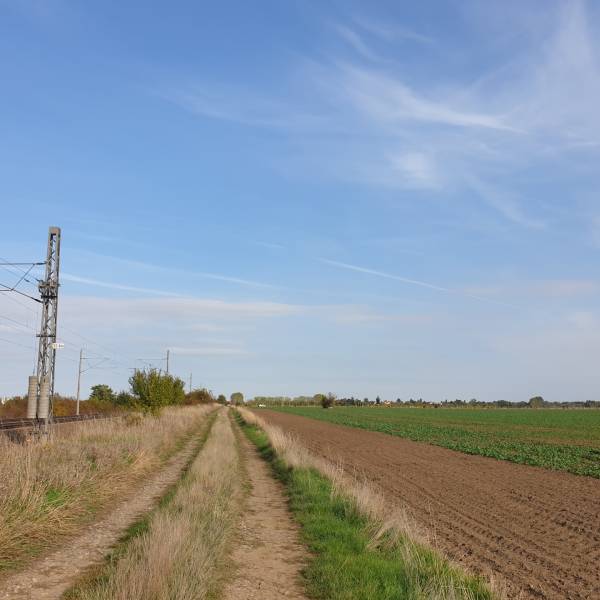 Sale Agrarian and forest land, Agrarian and forest land, Pezinok, Slov