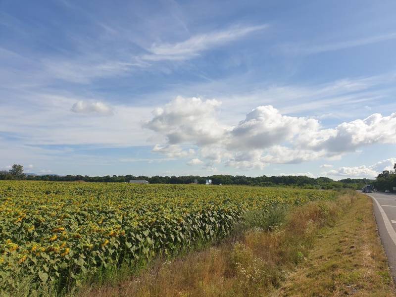 Sale Agrarian and forest land, Agrarian and forest land, Senecká cesta