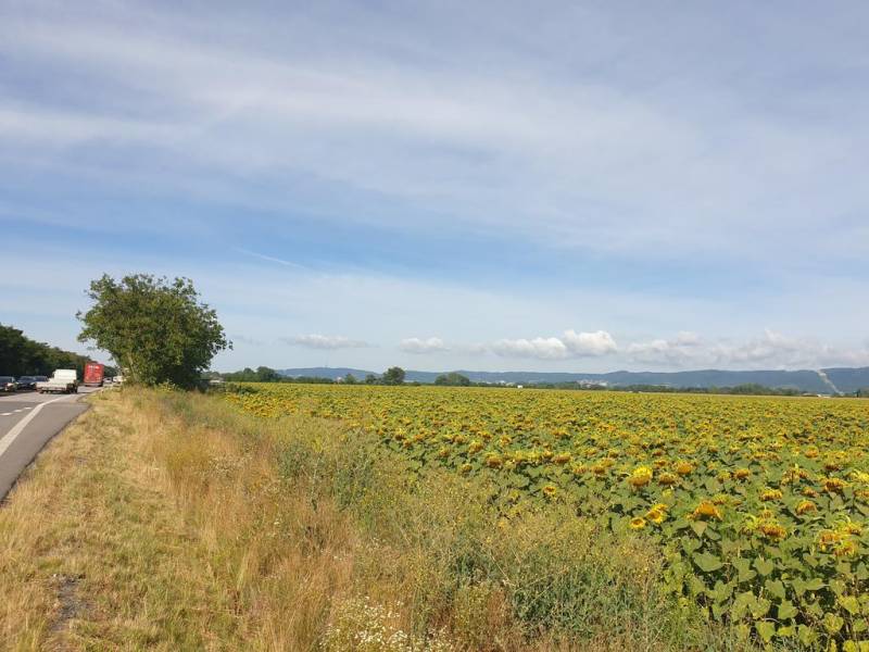 Sale Agrarian and forest land, Agrarian and forest land, Senecká cesta