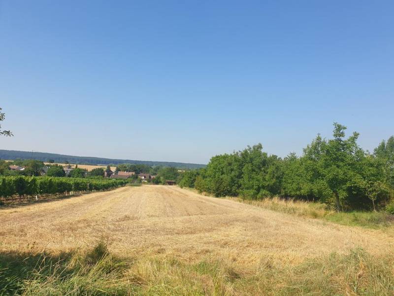 Sale Land – for living, Land – for living, Pezinok, Slovakia