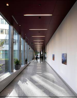 Modern office spaces in a new building in the wider city centre