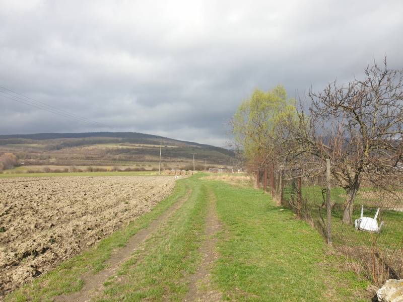 Sale Land – for living, Land – for living, Doľany, Pezinok, Slovakia