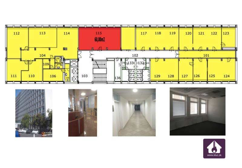 Modern Offices from 19m2 to an Entire Floor (600m2)