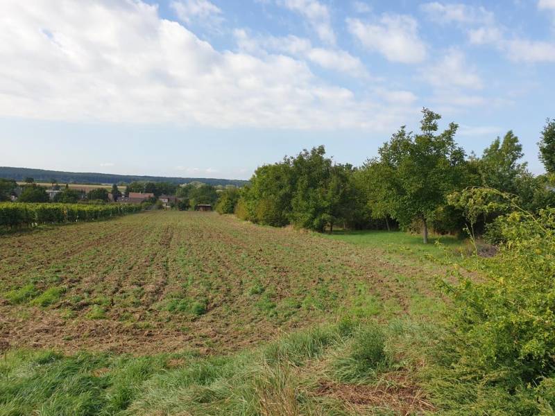 Sale Land – for living, Land – for living, Pezinok, Slovakia