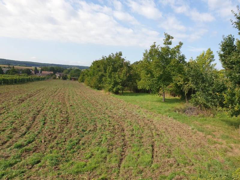 Sale Land – for living, Land – for living, Pezinok, Slovakia