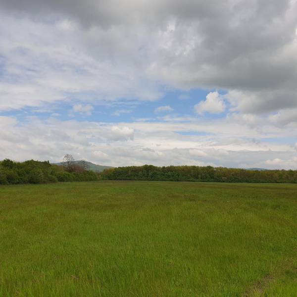 Sale Agrarian and forest land, Agrarian and forest land, Pezinok, Slov