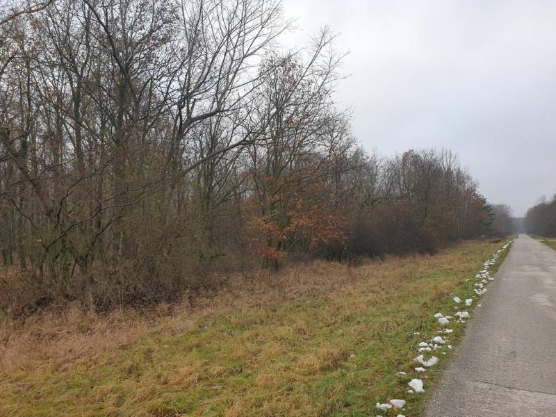 Sale Agrarian and forest land, Agrarian and forest land, Pezinok, Slov