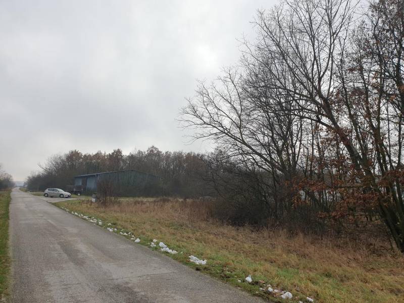 Sale Agrarian and forest land, Agrarian and forest land, Pezinok, Slov