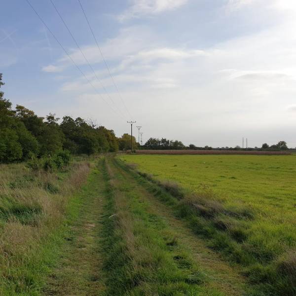 Sale Recreational land, Recreational land, Potočná, Pezinok, Slovakia