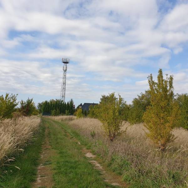 Sale Recreational land, Recreational land, Potočná, Pezinok, Slovakia