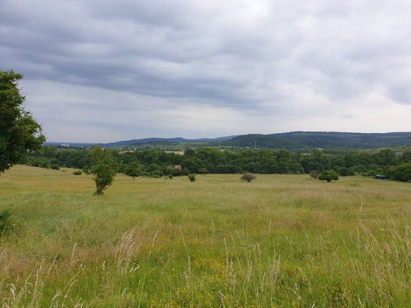 Sale Agrarian and forest land, Agrarian and forest land, Trnava, Slova