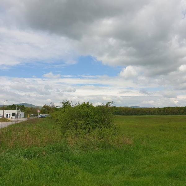 Sale Agrarian and forest land, Agrarian and forest land, Pezinok, Slov