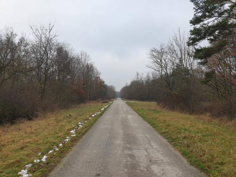 Sale Agrarian and forest land, Agrarian and forest land, Pezinok, Slov