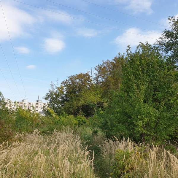 Sale Recreational land, Recreational land, Potočná, Pezinok, Slovakia