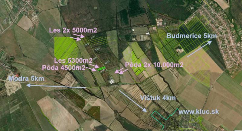 Sale Agrarian and forest land, Agrarian and forest land, Budmerice, Se