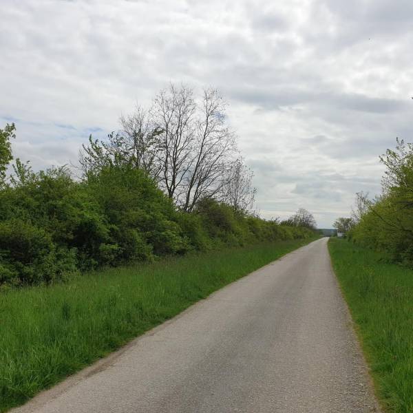 Sale Agrarian and forest land, Agrarian and forest land, Pezinok, Slov