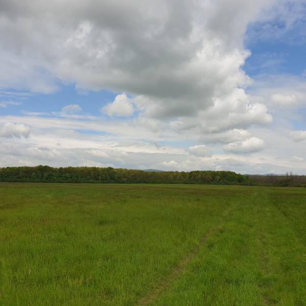 Sale Agrarian and forest land, Agrarian and forest land, Pezinok, Slov