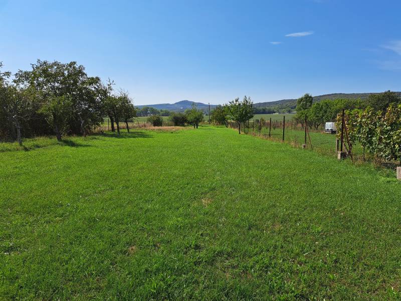 Sale Land – for living, Land – for living, Doľany, Pezinok, Slovakia