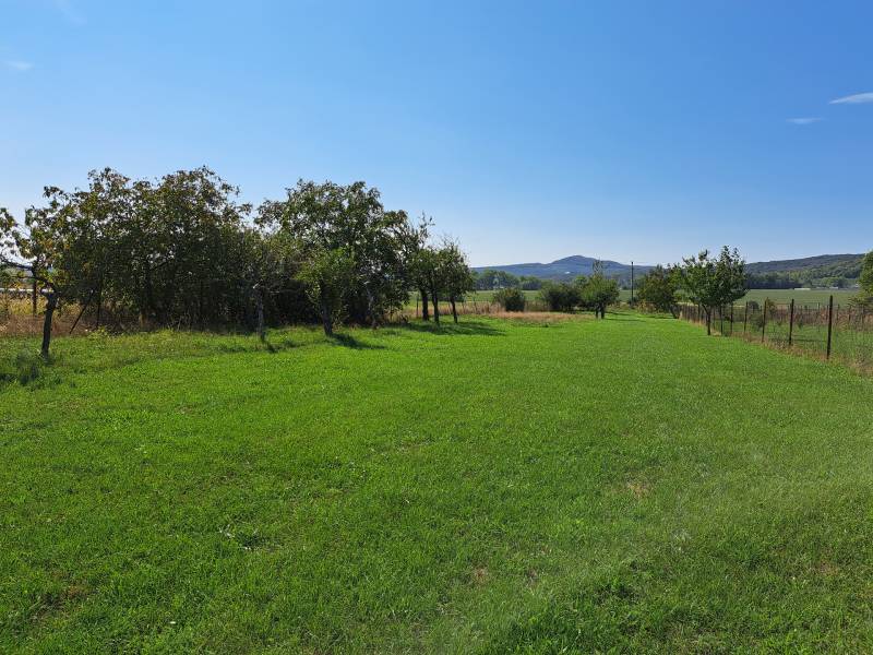 Sale Land – for living, Land – for living, Doľany, Pezinok, Slovakia