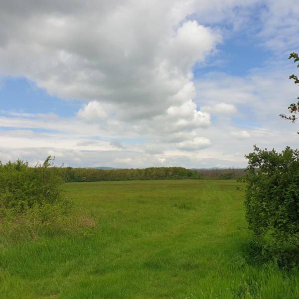 Sale Agrarian and forest land, Agrarian and forest land, Pezinok, Slov