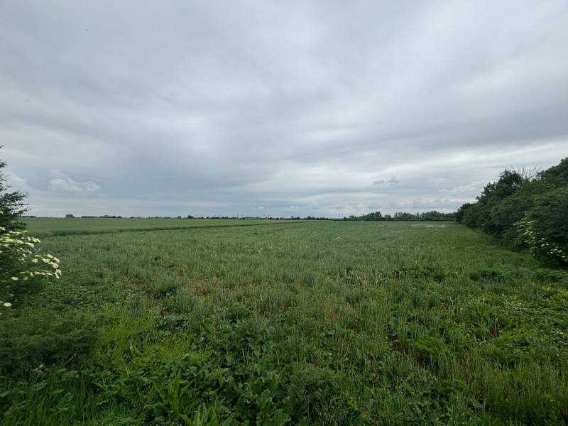 Sale Agrarian and forest land, Agrarian and forest land, Pezinok, Slov