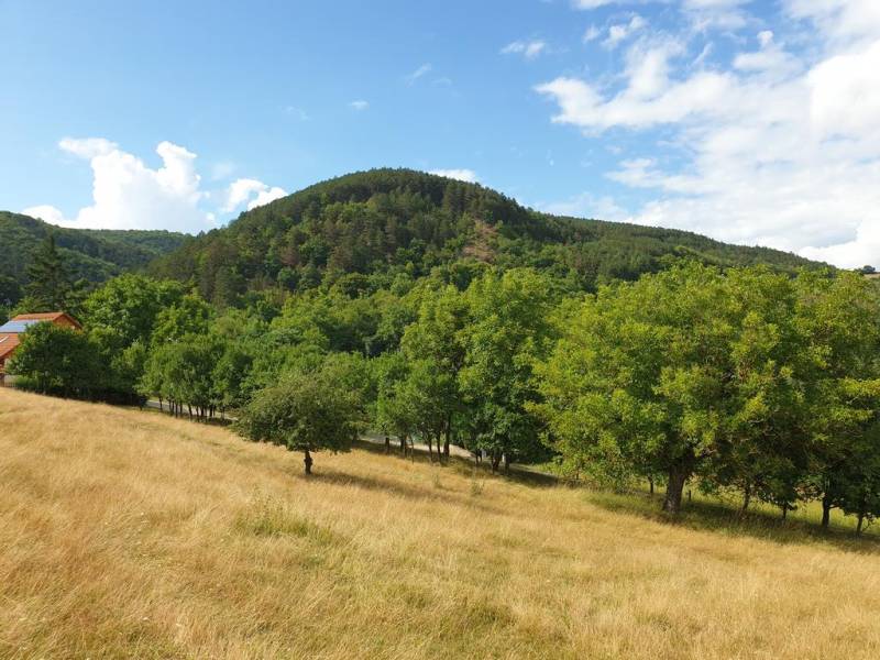 Sale Agrarian and forest land, Agrarian and forest land, Piešťany, Slo