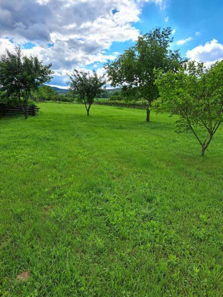Sale Gardens, Gardens, Doľany, Pezinok, Slovakia