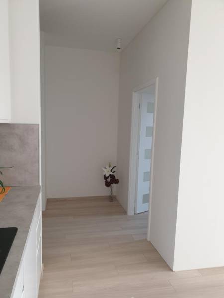 Rent One bedroom apartment, One bedroom apartment, Jarabinková, Bratis