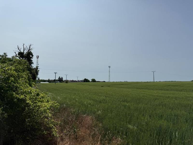 Sale Agrarian and forest land, Agrarian and forest land, Trnava, Slova