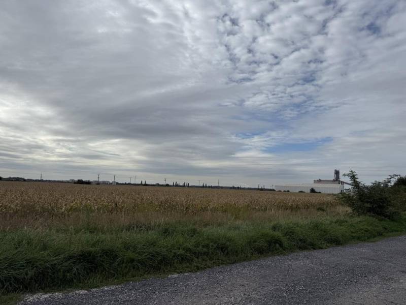 Sale Agrarian and forest land, Agrarian and forest land, Pezinok, Slov