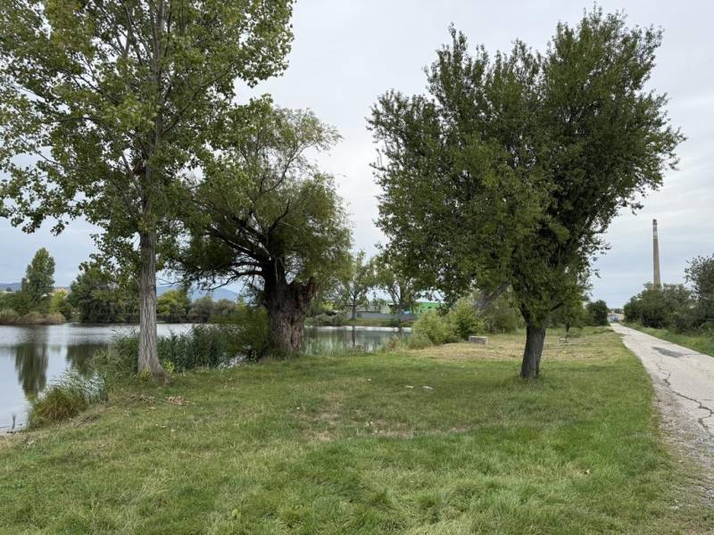 Sale Agrarian and forest land, Agrarian and forest land, Pezinok, Slov