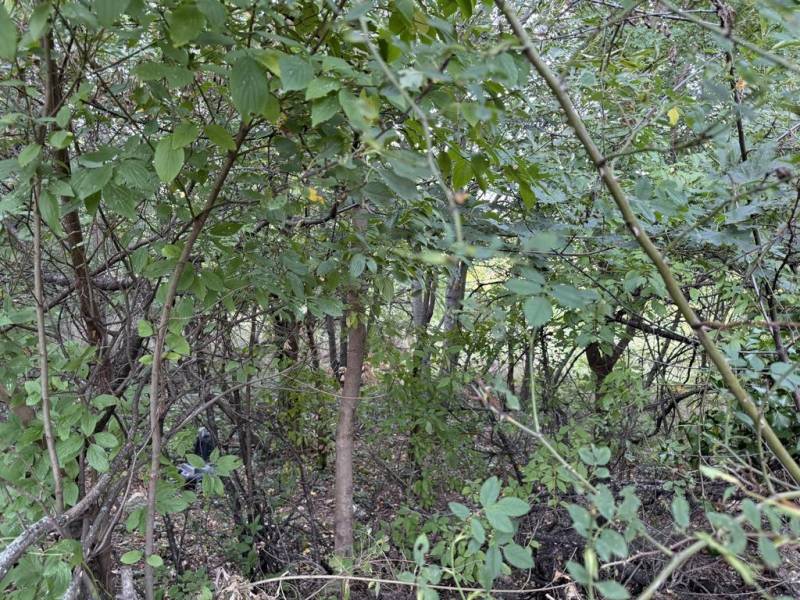 Sale Land – for living, Land – for living, Frankovská, Bratislava - No