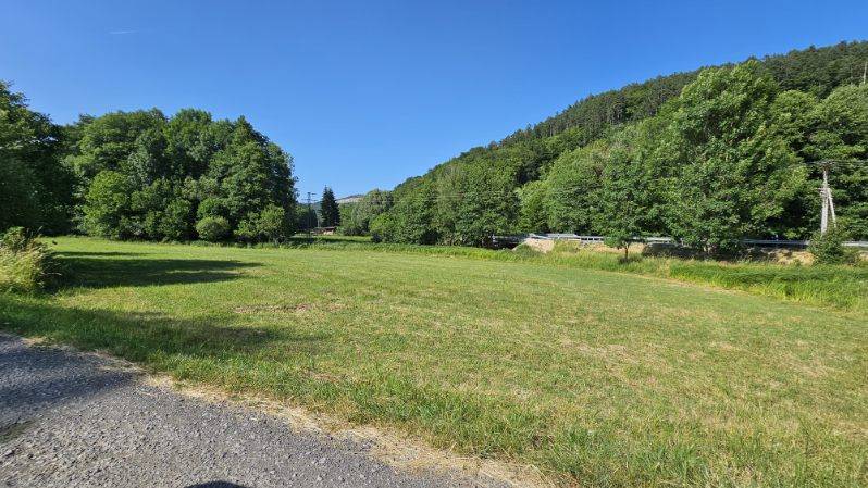 Sale Agrarian and forest land, Agrarian and forest land, Detva, Slovak