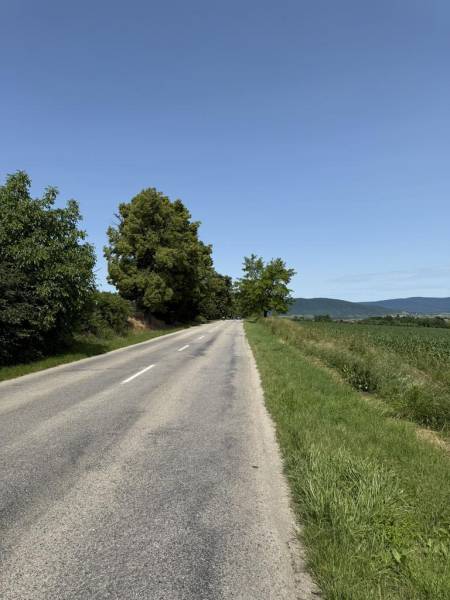 Sale Agrarian and forest land, Agrarian and forest land, Trnava, Slova