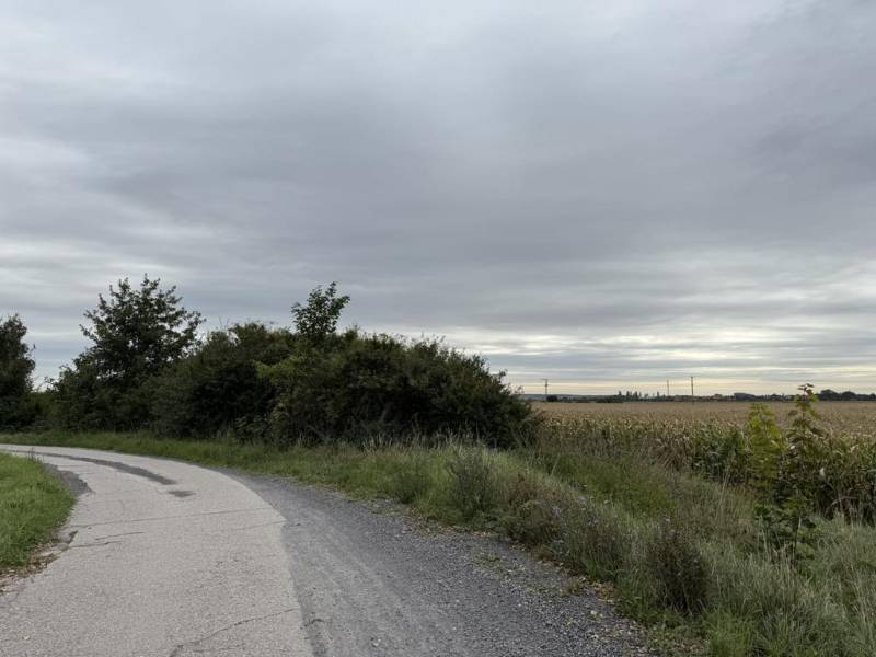 Sale Agrarian and forest land, Agrarian and forest land, Pezinok, Slov