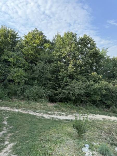 Sale Land – for living, Land – for living, Frankovská, Bratislava - No
