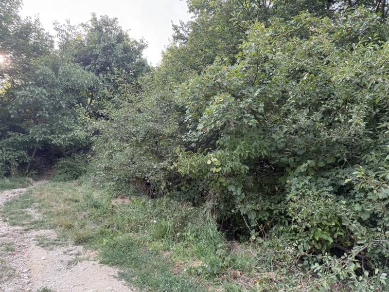 Sale Land – for living, Land – for living, Frankovská, Bratislava - No