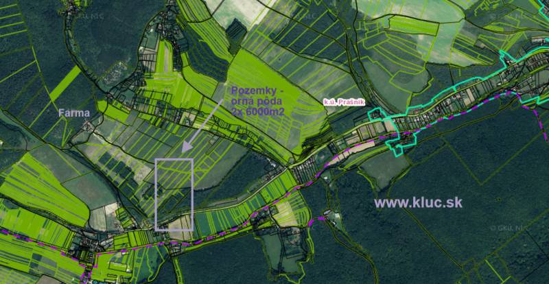 Sale Agrarian and forest land, Agrarian and forest land, Piešťany, Slo