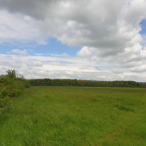 Searching for Agrarian and forest land, Agrarian and forest land, Sene