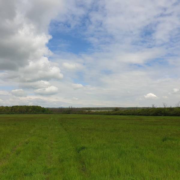 Sale Agrarian and forest land, Agrarian and forest land, Pezinok, Slov