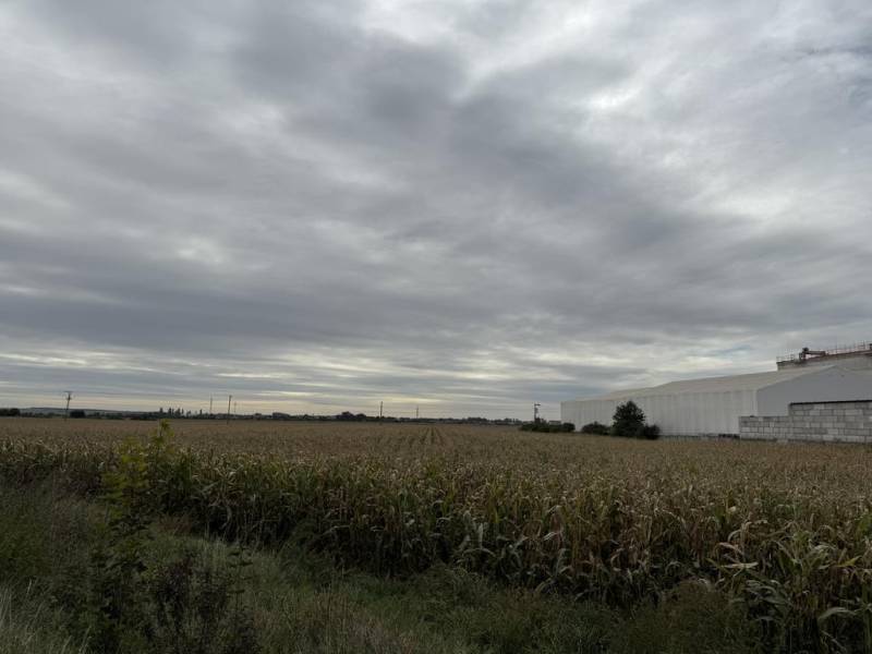 Sale Agrarian and forest land, Agrarian and forest land, Pezinok, Slov