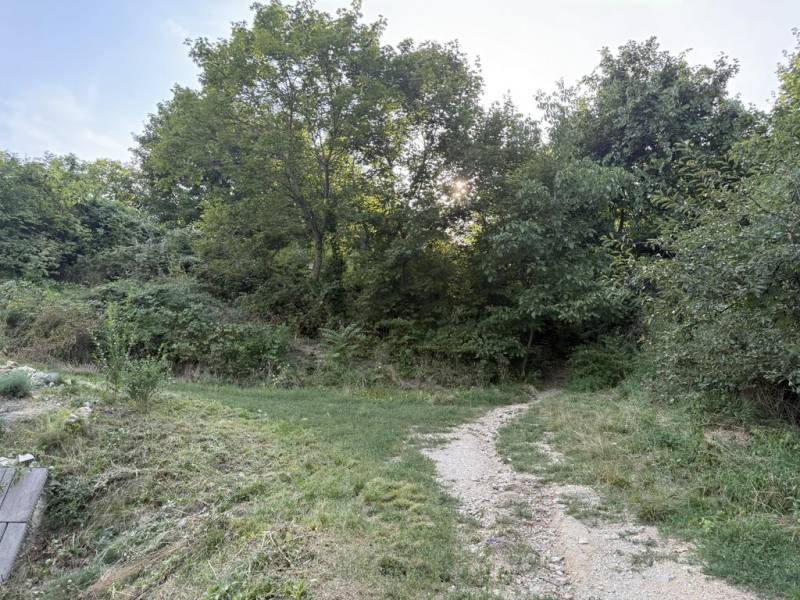 Sale Land – for living, Land – for living, Frankovská, Bratislava - No