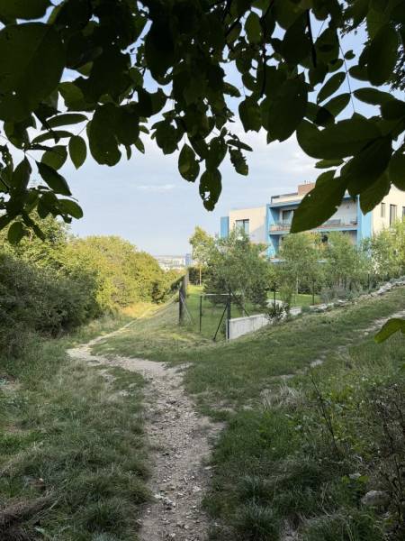 Sale Land – for living, Land – for living, Frankovská, Bratislava - No