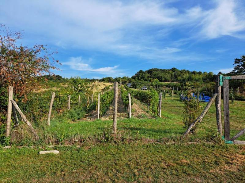 Sale Recreational land, Recreational land, Fajgalská cesta, Pezinok, S