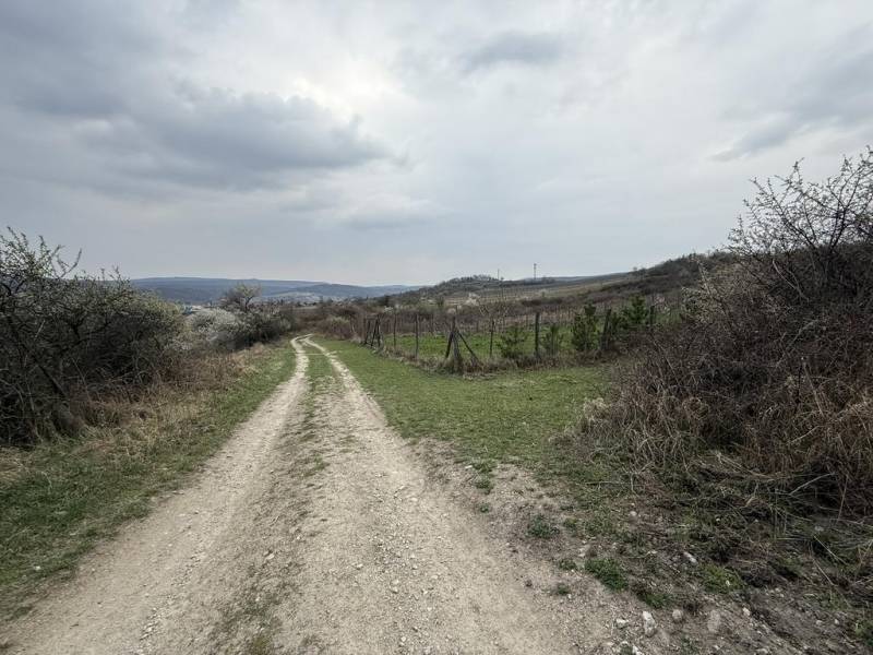 Sale Recreational land, Recreational land, Fajgalská cesta, Pezinok, S