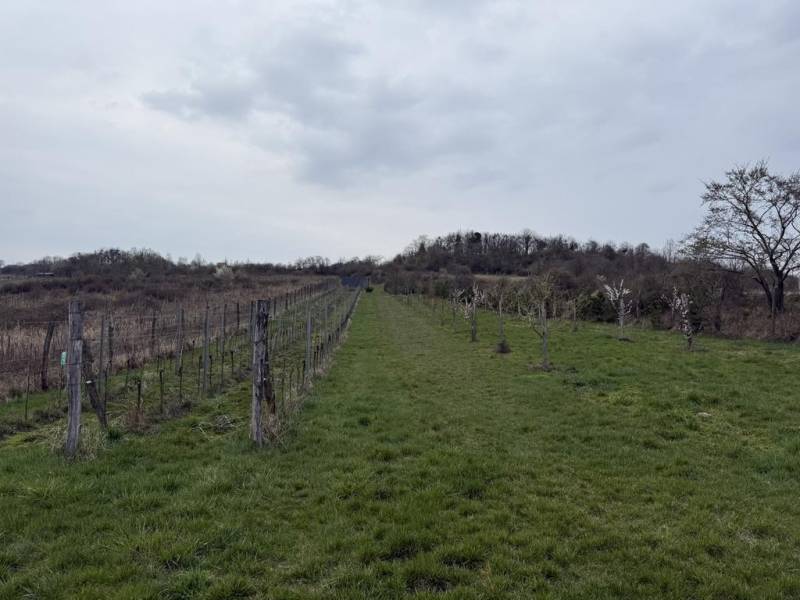 Sale Recreational land, Recreational land, Fajgalská cesta, Pezinok, S