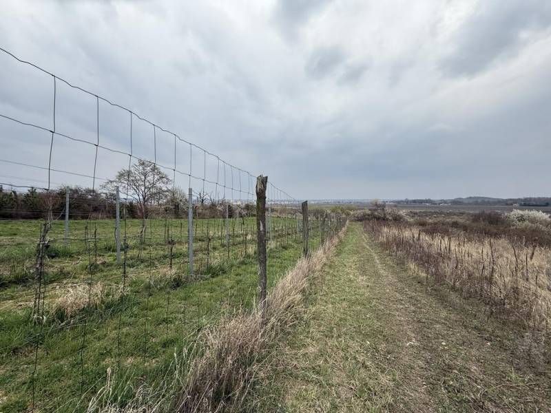 Sale Recreational land, Recreational land, Fajgalská cesta, Pezinok, S